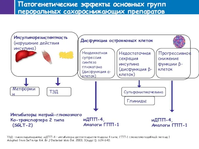 Патогенетические эффекты основных групп пероральных сахароснижающих препаратов ТЗД – тиазолидинидионы; иДПП-4