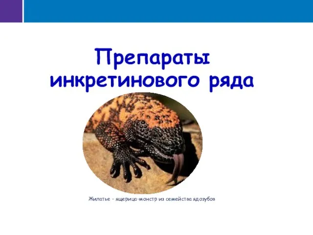 Препараты инкретинового ряда Жилатье - ящерица-монстр из семейства ядозубов