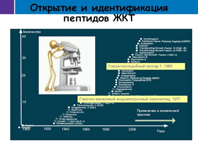 Количество Годы Открытие и идентификация пептидов ЖКТ 1900 2000 1940 1960