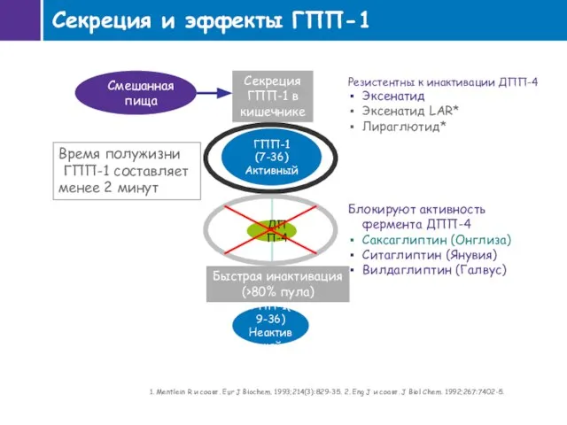 Секреция и эффекты ГПП-1 1. Mentlein R и соавт. Eur J