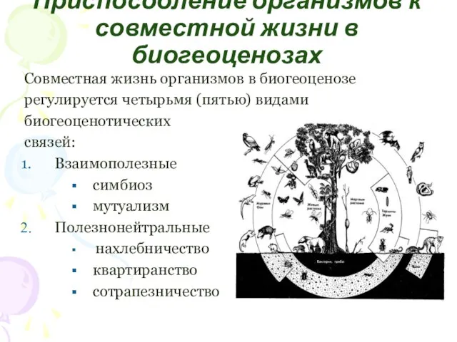 Приспособление организмов к совместной жизни в биогеоценозах Совместная жизнь организмов в