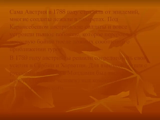 Сама Австрия в 1788 году страдала от эпидемий, многие солдаты лежали