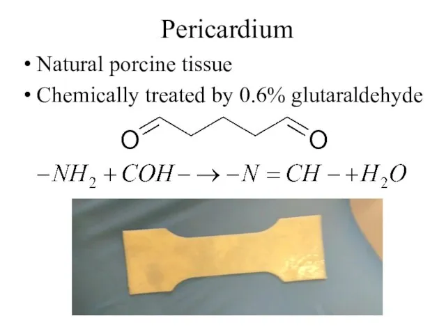 Pericardium Natural porcine tissue Chemically treated by 0.6% glutaraldehyde