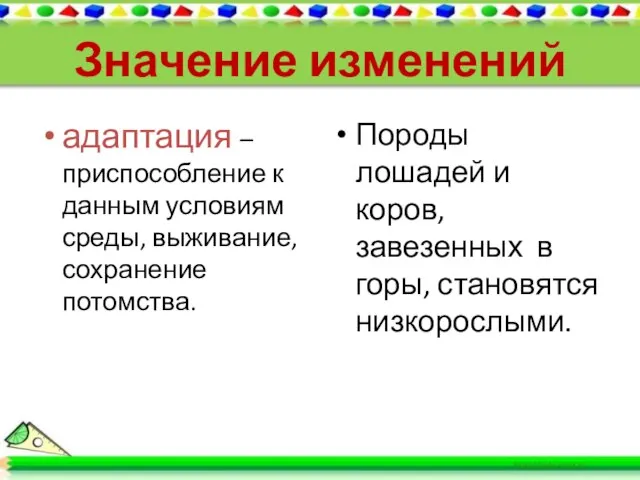 Значение изменений адаптация – приспособление к данным условиям среды, выживание, сохранение