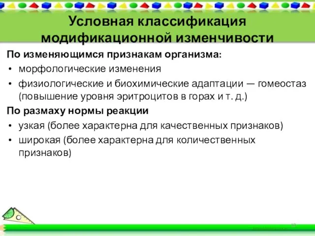 Условная классификация модификационной изменчивости По изменяющимся признакам организма: морфологические изменения физиологические