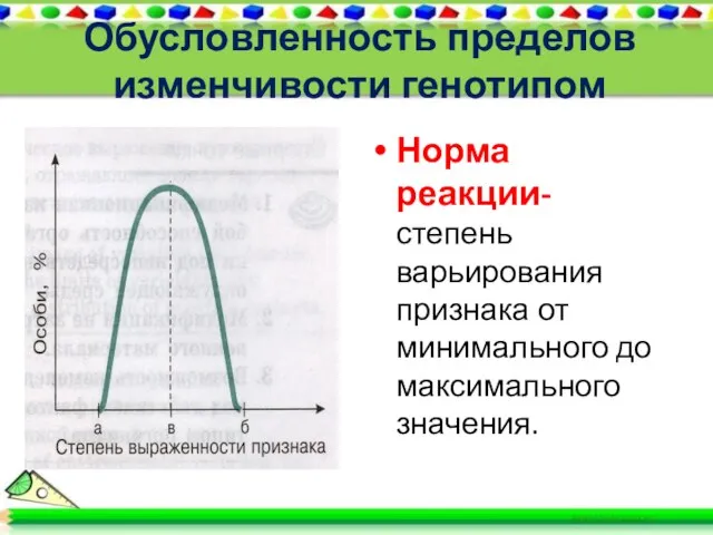 Обусловленность пределов изменчивости генотипом Норма реакции- степень варьирования признака от минимального до максимального значения.