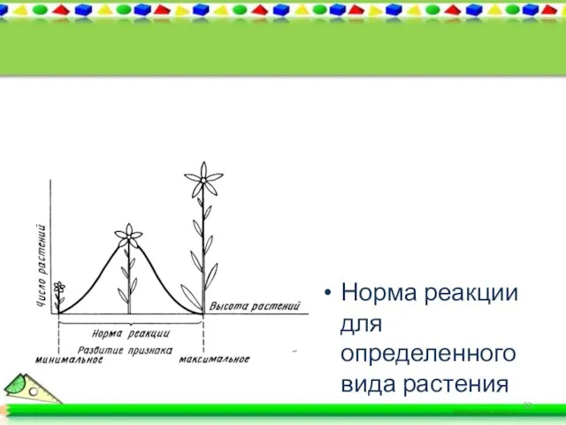Норма реакции для определенного вида растения