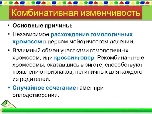 Основные причины: Независимое расхождение гомологичных хромосом в первом мейотическом делении. Взаимный