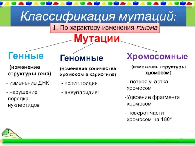 Классификация мутаций: Генные (изменение структуры гена) изменение ДНК нарушение порядка нуклеотидов