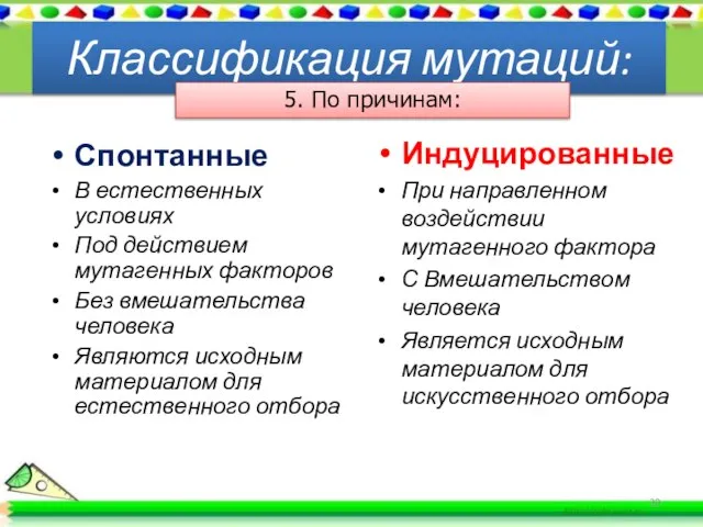 Спонтанные В естественных условиях Под действием мутагенных факторов Без вмешательства человека