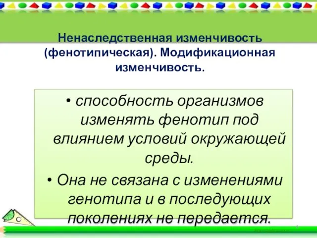 Ненаследственная изменчивость (фенотипическая). Модификационная изменчивость. способность организмов изменять фенотип под влиянием