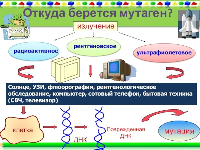 Откуда берется мутаген? излучение радиоактивное рентгеновское ультрафиолетовое Солнце, УЗИ, флюорография, рентгенологическое