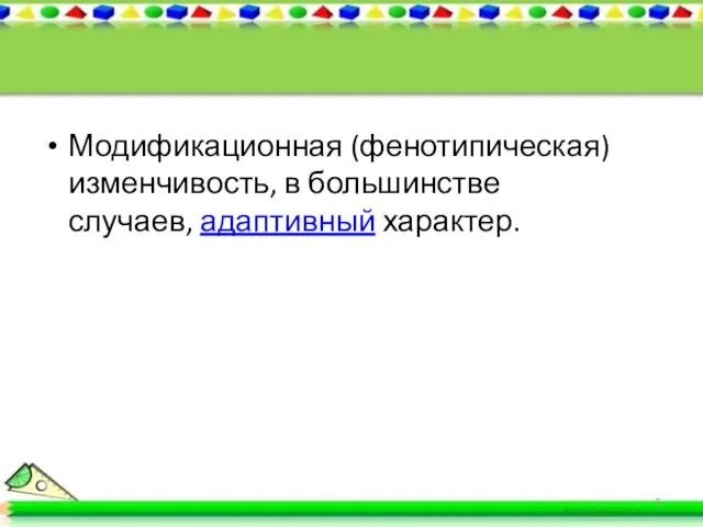 Модификационная (фенотипическая) изменчивость, в большинстве случаев, адаптивный характер.