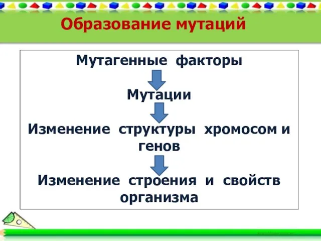 Образование мутаций Мутагенные факторы Мутации Изменение структуры хромосом и генов Изменение строения и свойств организма