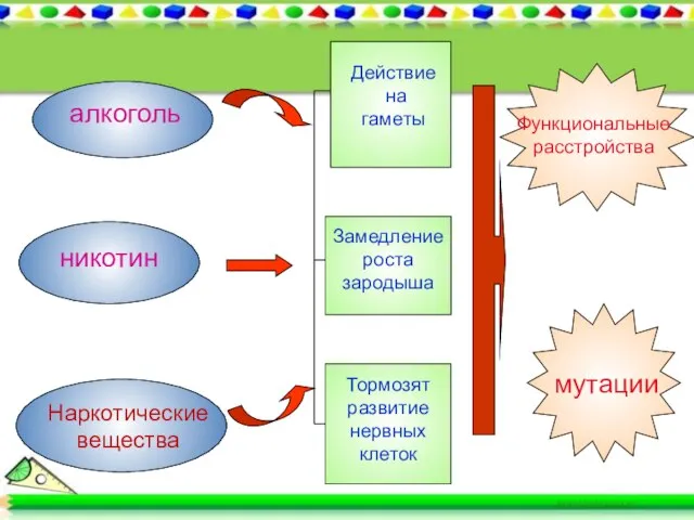 алкоголь никотин Наркотические вещества Действие на гаметы Замедление роста зародыша Тормозят