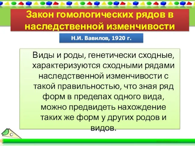 Закон гомологических рядов в наследственной изменчивости Виды и роды, генетически сходные,