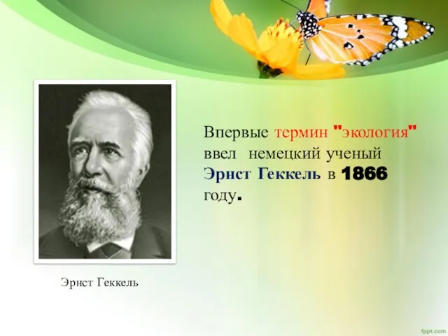 Эрнст Геккель Впервые термин "экология" ввел немецкий ученый Эрнст Геккель в 1866 году.