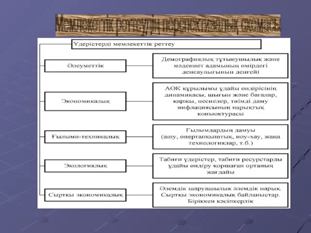 Мемлекеттік реттеудің перспективалық схемасы