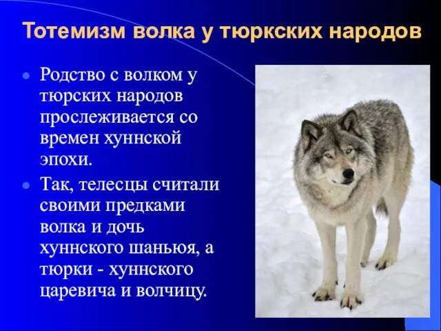 Тотемизм волка у тюркских народов Родство с волком у тюрских народов