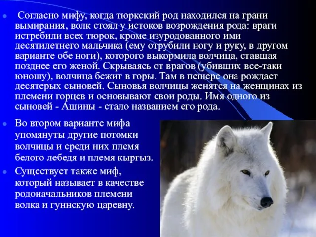 Согласно мифу, когда тюркский род находился на грани вымирания, волк стоял