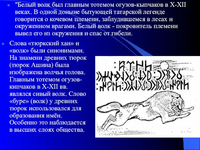 "Белый волк был главным тотемом огузов-кыпчаков в Х-XII веках. В одной