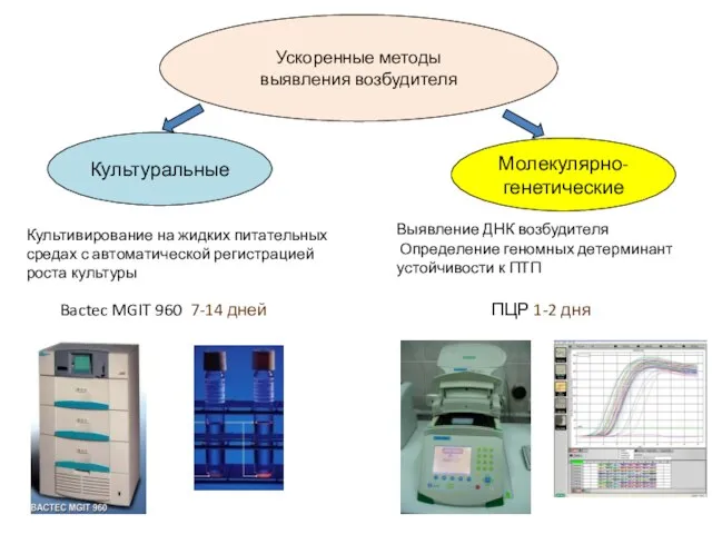 Ускоренные методы выявления возбудителя Культуральные Молекулярно- генетические Bactec MGIT 960 7-14