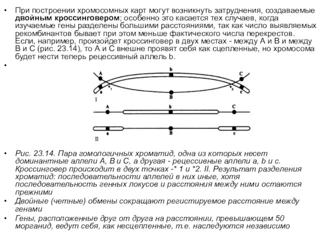 При построении хромосомных карт могут возникнуть затруднения, создаваемые двойным кроссинговером; особенно