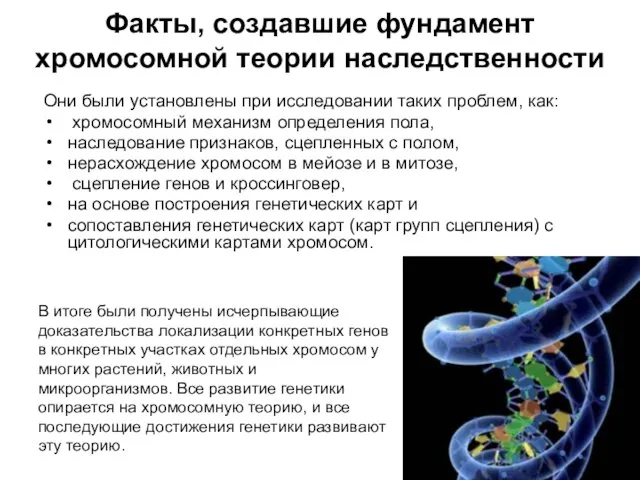 Факты, создавшие фундамент хромосомной теории наследственности Они были установлены при исследовании