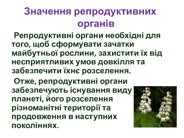 Репродуктивні органи необхідні для того, щоб сформувати зачатки майбутньої рослини, захистити