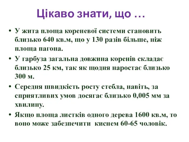 У жита площа кореневої системи становить близько 640 кв.м, що у