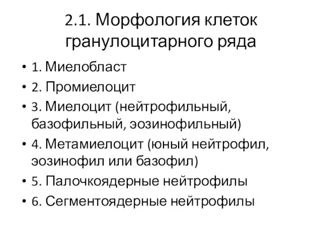 2.1. Морфология клеток гранулоцитарного ряда 1. Миелобласт 2. Промиелоцит 3. Миелоцит