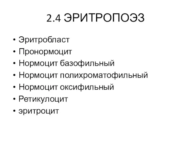 2.4 ЭРИТРОПОЭЗ Эритробласт Пронормоцит Нормоцит базофильный Нормоцит полихроматофильный Нормоцит оксифильный Ретикулоцит эритроцит