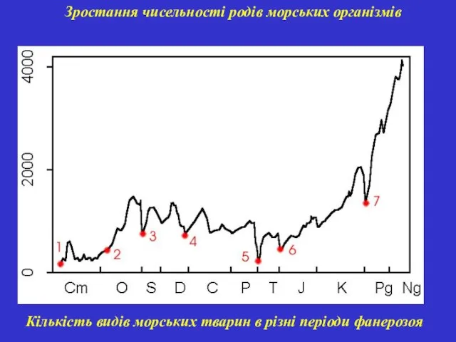 Зростання чисельності родів морських організмів Кількість видів морських тварин в різні періоди фанерозоя