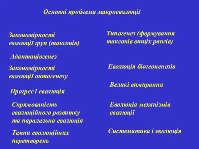 Основні проблеми макроеволюції Закономірності еволюції груп (таксонів) Адаптаціогенез Закономірності еволюції онтогенезу