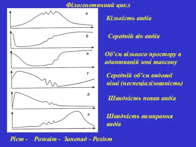 Філогенетичний цикл Кількість видів Середній вік видів Об’єм вільного простору в