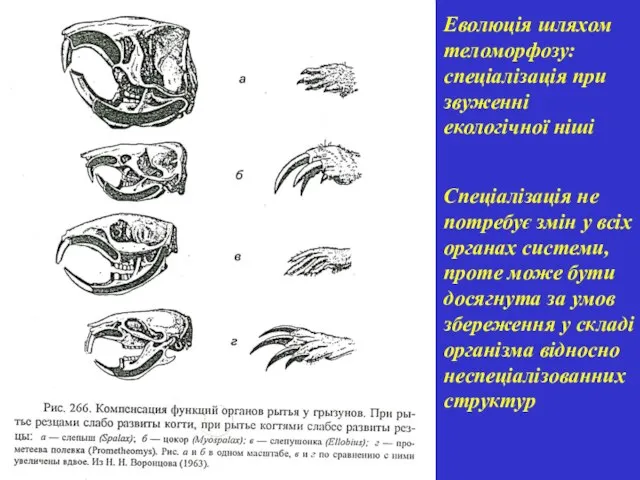 Спеціалізація не потребує змін у всіх органах системи, проте може бути