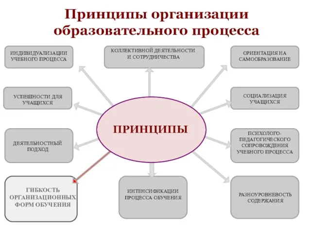 Принципы организации образовательного процесса ИНДИВИДУАЛИЗАЦИИ УЧЕБНОГО ПРОЦЕССА КОЛЛЕКТИВНОЙ ДЕЯТЕЛЬНОСТИ И СОТРУДНИЧЕСТВА