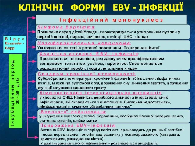 КЛІНІЧНІ ФОРМИ EBV - ІНФЕКЦІЇ