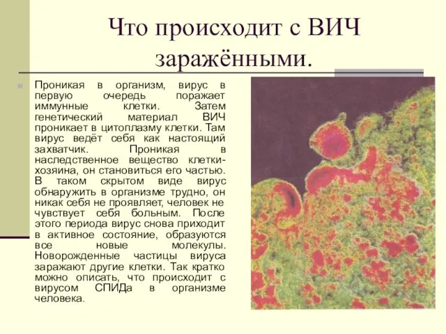 Что происходит с ВИЧ заражёнными. Проникая в организм, вирус в первую