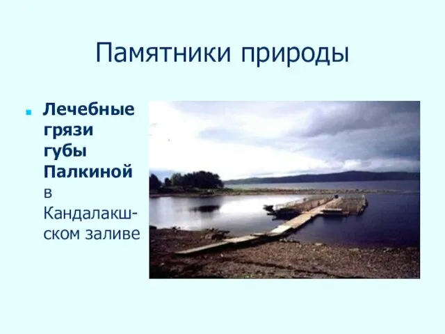 Памятники природы Лечебные грязи губы Палкиной в Кандалакш-ском заливе