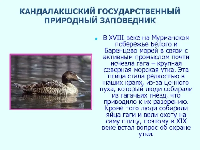 КАНДАЛАКШСКИЙ ГОСУДАРСТВЕННЫЙ ПРИРОДНЫЙ ЗАПОВЕДНИК В XVIII веке на Мурманском побережье Белого