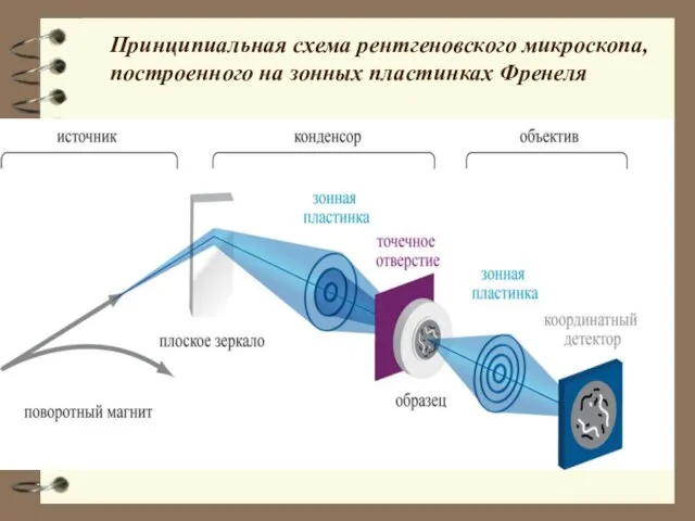 Принципиальная схема рентгеновского микроскопа, построенного на зонных пластинках Френеля