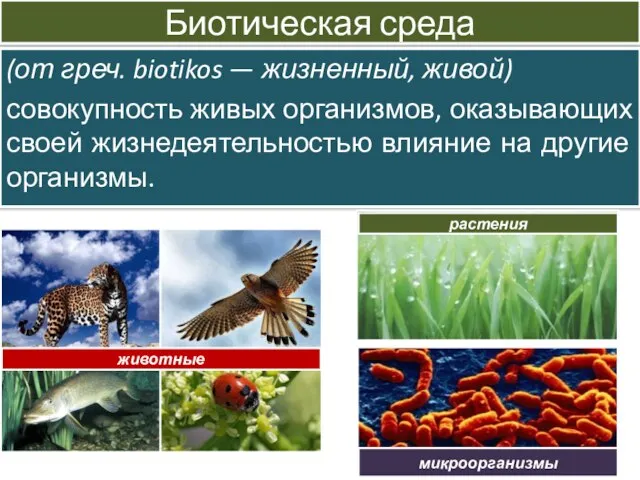 Биотическая среда (от греч. biotikos — жизненный, живой) совокупность живых организмов,