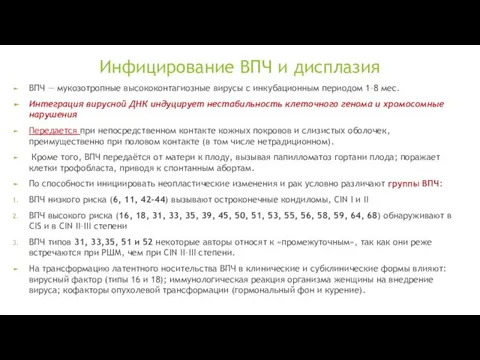 Инфицирование ВПЧ и дисплазия ВПЧ — мукозотропные высококонтагиозные вирусы с инкубационным