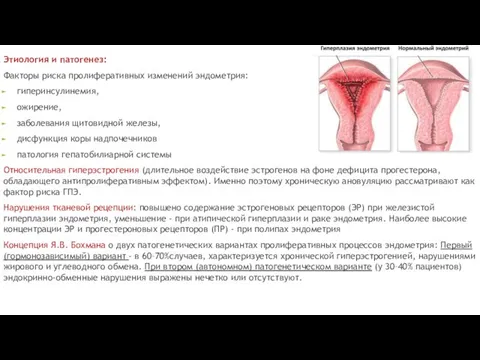 Этиология и патогенез: Факторы риска пролиферативных изменений эндометрия: гиперинсулинемия, ожирение, заболевания