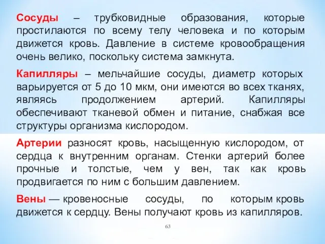 Сосуды – трубковидные образования, которые простилаются по всему телу человека и