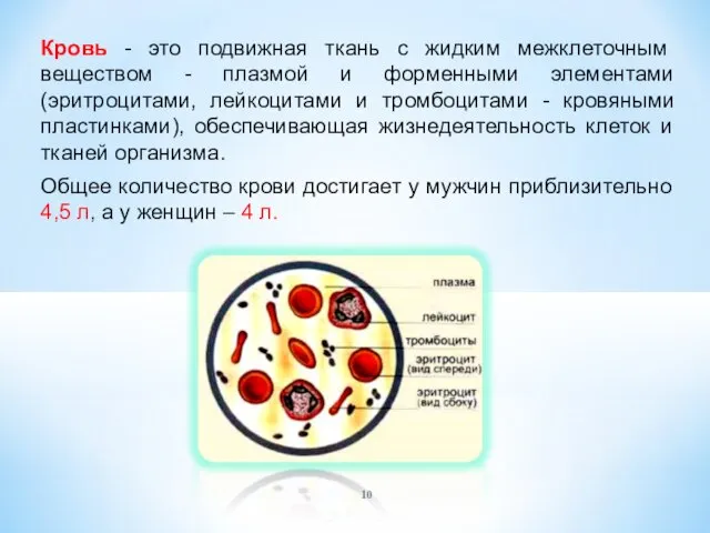 Кровь - это подвижная ткань с жидким межклеточным веществом - плазмой