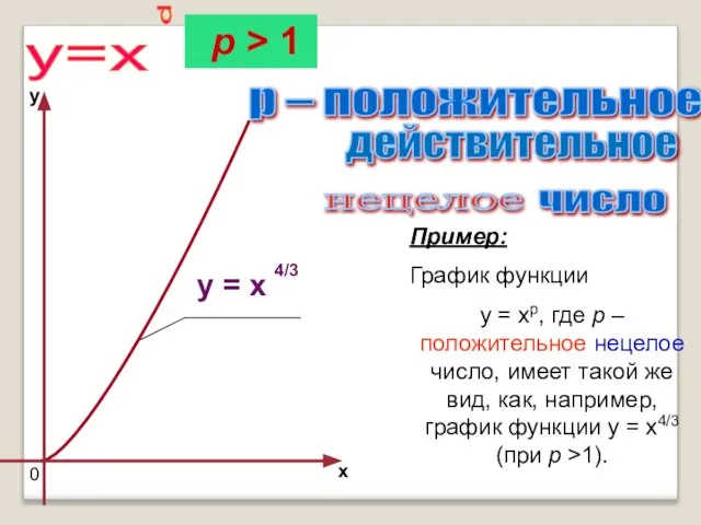 p – положительное действительное нецелое число Пример: График функции y =