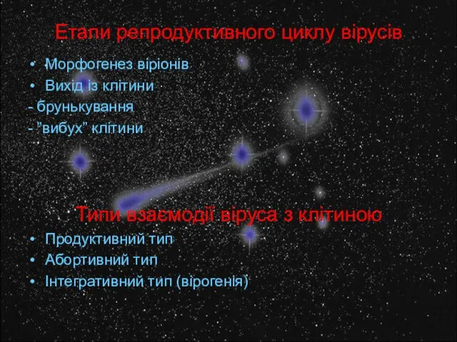 Етапи репродуктивного циклу вірусів Морфогенез віріонів Вихід із клітини - брунькування