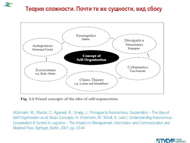 Теория сложности. Почти те же сущности, вид сбоку Hülsmann, M.; Wycisk,